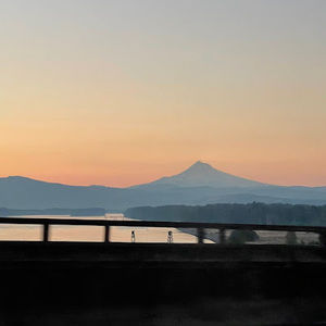 Meet your Posher, Diana